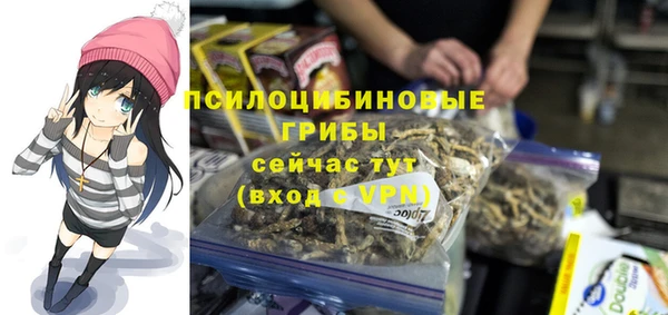 мяу мяу кристалл Вяземский